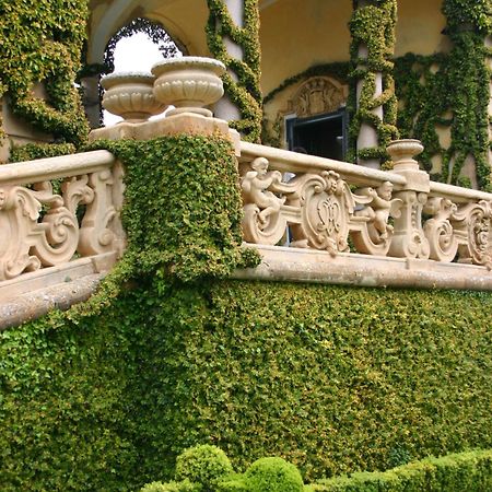Charming Glicine And Azalea House Art And Colour With Lakeview Cadenabbia Eksteriør billede
