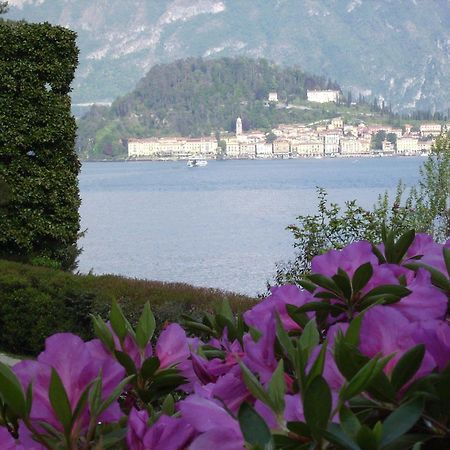 Charming Glicine And Azalea House Art And Colour With Lakeview Cadenabbia Eksteriør billede