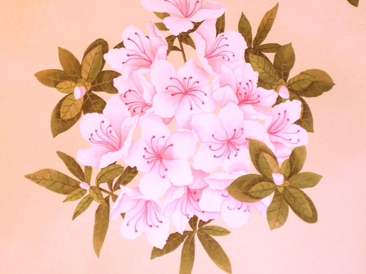 Charming Glicine And Azalea House Art And Colour With Lakeview Cadenabbia Eksteriør billede