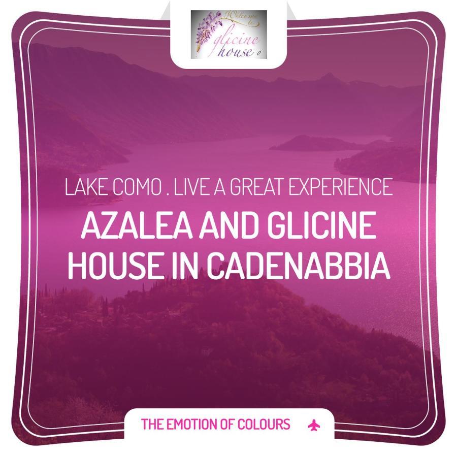 Charming Glicine And Azalea House Art And Colour With Lakeview Cadenabbia Eksteriør billede