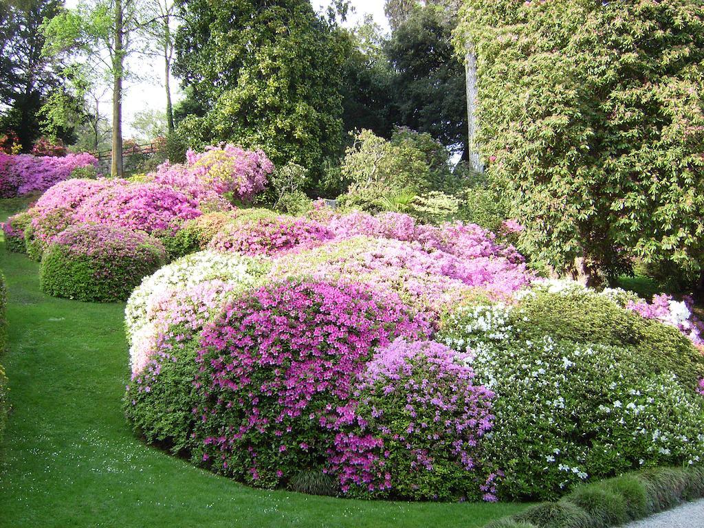 Charming Glicine And Azalea House Art And Colour With Lakeview Cadenabbia Værelse billede
