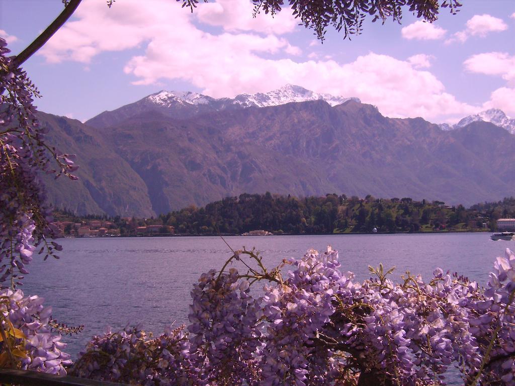 Charming Glicine And Azalea House Art And Colour With Lakeview Cadenabbia Værelse billede