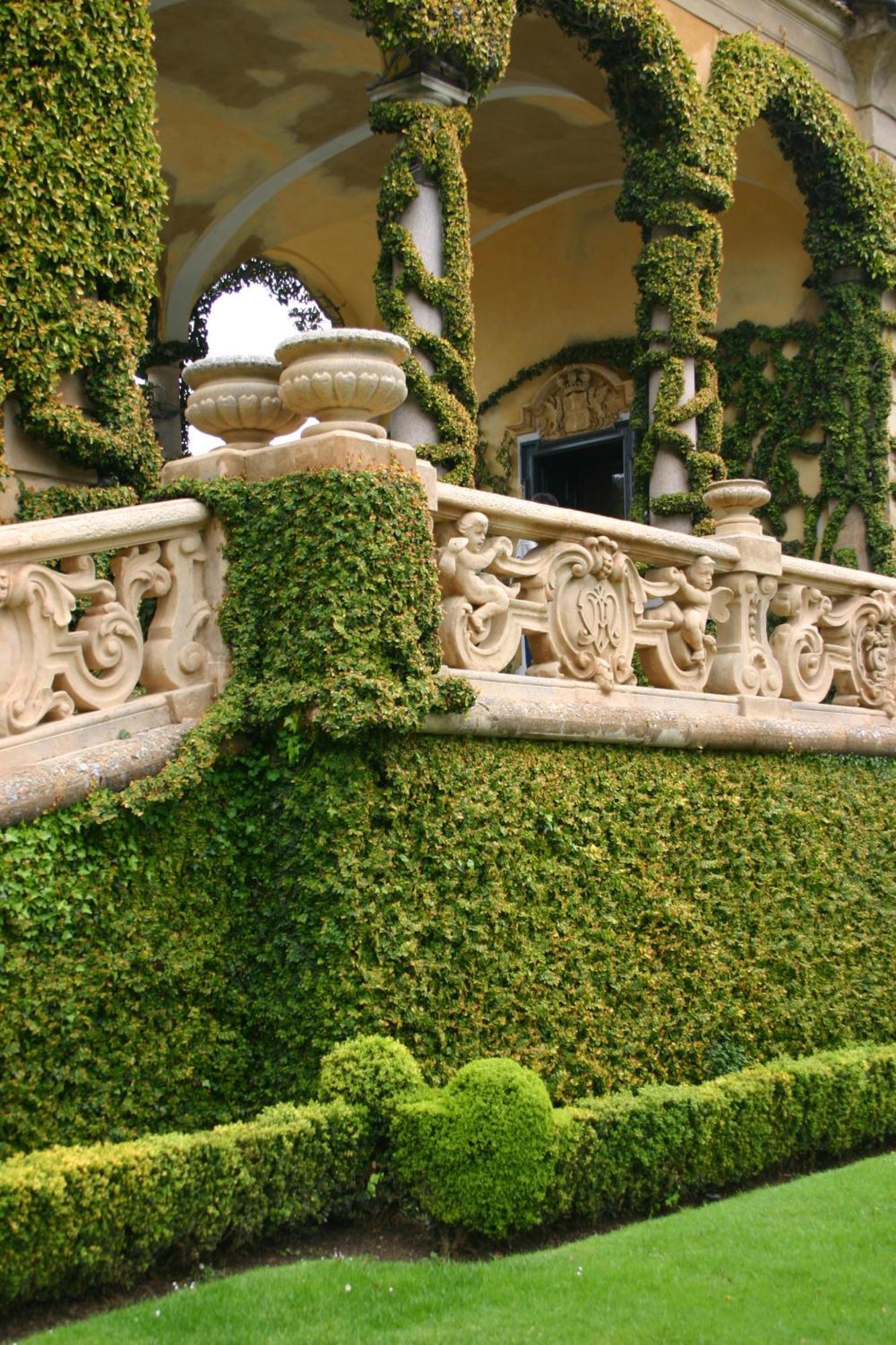 Charming Glicine And Azalea House Art And Colour With Lakeview Cadenabbia Eksteriør billede