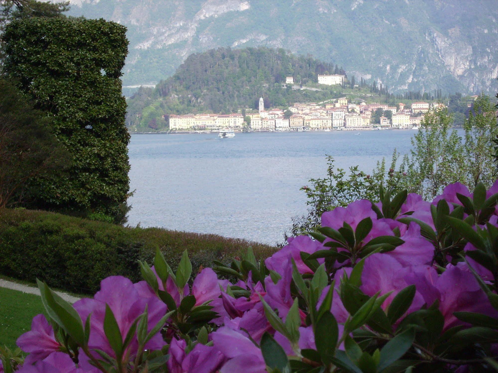 Charming Glicine And Azalea House Art And Colour With Lakeview Cadenabbia Eksteriør billede