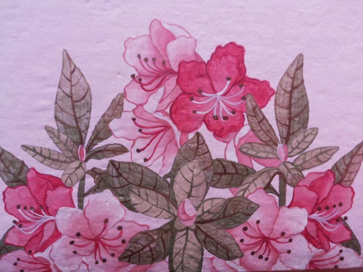 Charming Glicine And Azalea House Art And Colour With Lakeview Cadenabbia Eksteriør billede